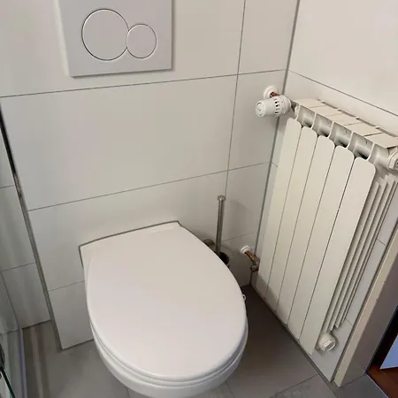 Penzion Gaestehaus An Der Rheinbruecke Altlussheim