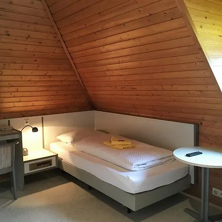 Gaestehaus An Der Rheinbruecke Altlussheim