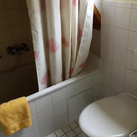 Penzion Gaestehaus An Der Rheinbruecke Altlussheim