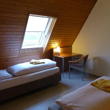 Penzion Gaestehaus An Der Rheinbruecke 3*