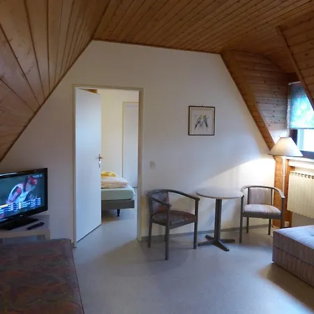 Penzion Gaestehaus An Der Rheinbruecke 3*