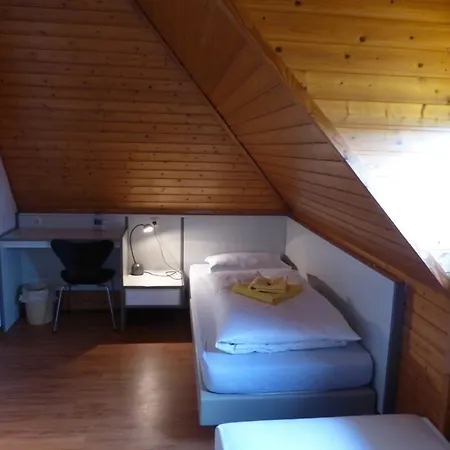 Gaestehaus An Der Rheinbruecke Altlussheim