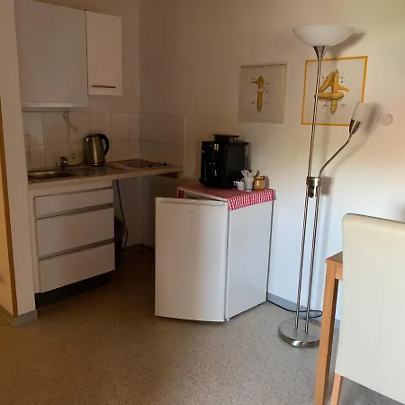 Gaestehaus An Der Rheinbruecke Penzion 3*