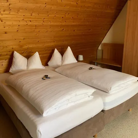 Penzion Gaestehaus An Der Rheinbruecke 3*