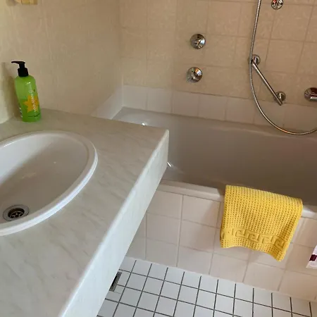 Gaestehaus An Der Rheinbruecke Altlussheim